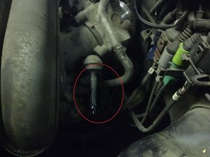 26102010117.jpg