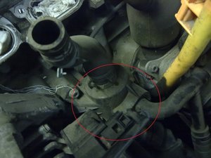 26102010119.jpg