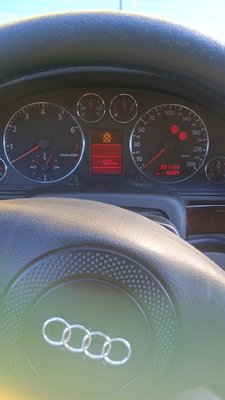 IMG_20230716_100541.jpg