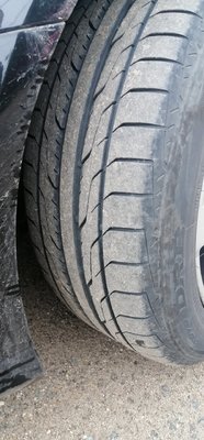 IMG_20230624_065514.jpg
