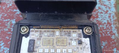 IMG_20230812_192121.jpg