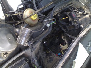20062010238.jpg