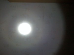 IMG_0409.jpg