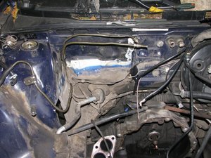 IMG_1733.JPG