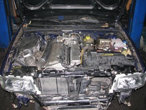 IMG_1781.JPG
