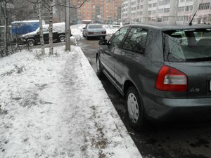 PB231336.jpg