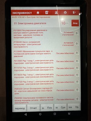 IMG_2307.jpeg