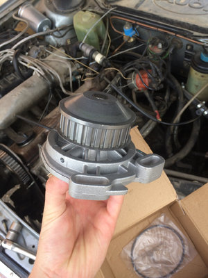 a479229s-1920.jpg