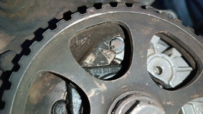 IMG_20230925_171538.jpg
