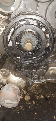 WhatsApp Image 2023-11-02 at 17.00.52.jpeg