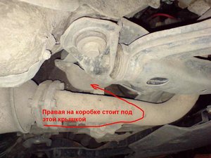 C00197.jpg