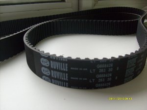 S7303823.jpg