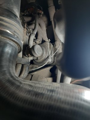 bbb8de53-72af-4fe6-b072-2616dd85eceb.jpg