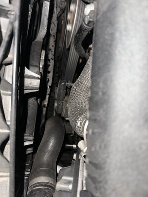 IMG_0077.jpeg