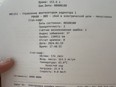 IMG_6489.jpeg