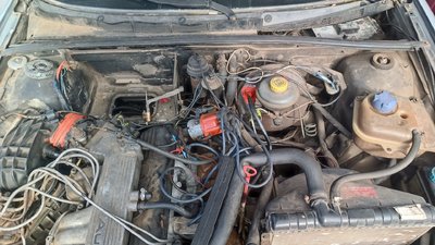 IMG_20240330_100442.jpg