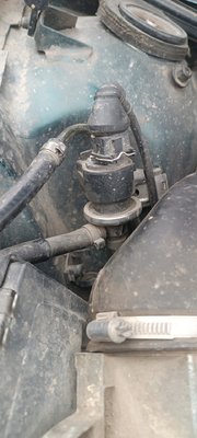 IMG_20240519_115511.jpg