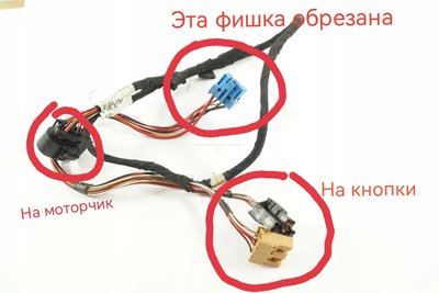 IMG_20240617_120118.jpg