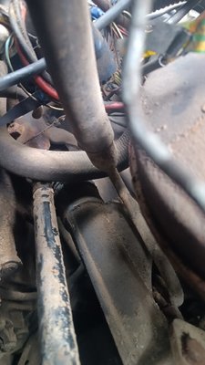 IMG_20240620_091929.jpg