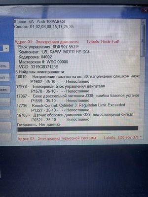 IMG_3308.jpeg