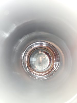 20241124_131221.jpg