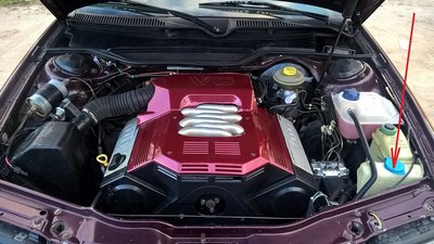 91a89cas-1920.jpg