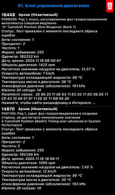 IMG_6235.jpeg