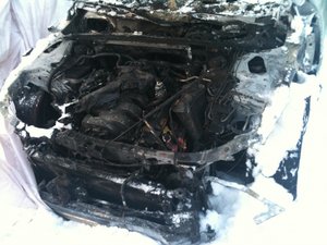 IMG_0409.jpg