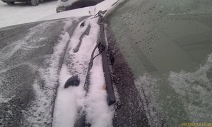 IMAG0466.jpg