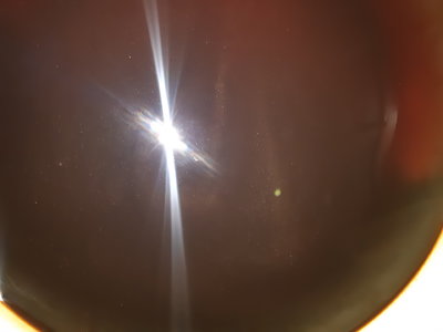 20250304_171904.jpg