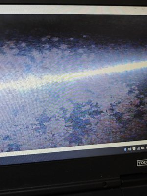 IMG_7144.jpeg