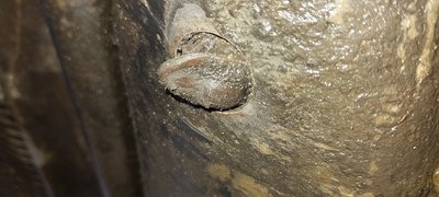 20250316_150354.jpg