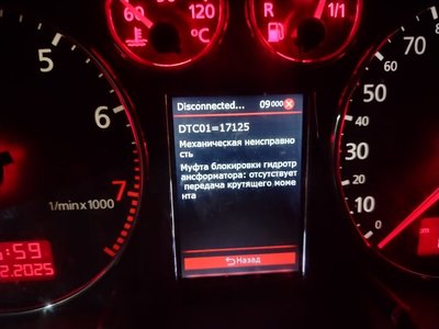 Изображение WhatsApp 2025-02-26 в 12.52.09_6c0b23a4.jpg