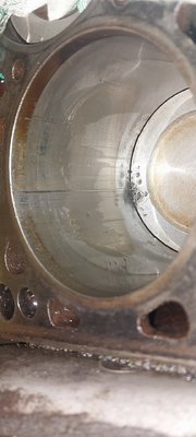 20250411_124516.jpg