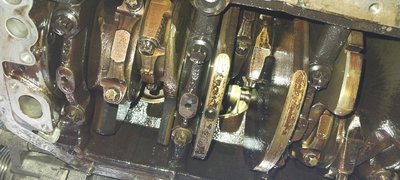 20250413_100418.jpg