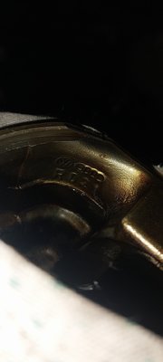 20250413_135258.jpg