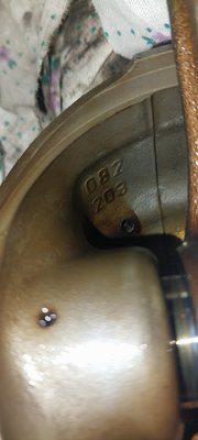 20250413_135031.jpg