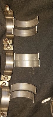20250417_083113.jpg