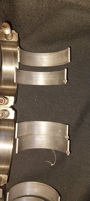 20250417_083117.jpg
