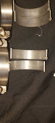 20250417_083124.jpg
