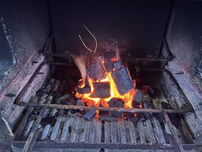 IMG_4784.JPG