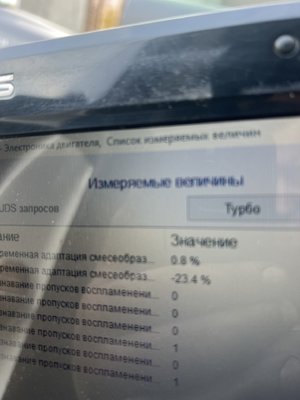 IMG_0717.jpeg