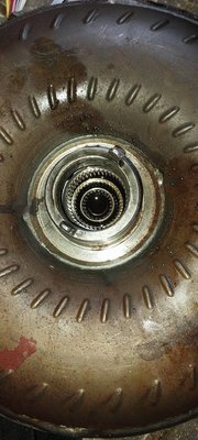 20250526_184324.jpg