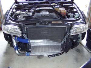 Picture_003_Large_001.JPG
