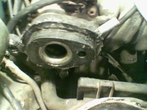Image(133).jpg