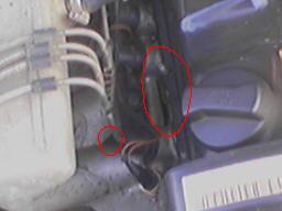 ам_060502_200136.jpg
