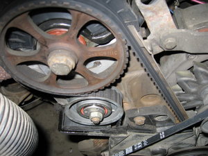 IMG_0906_resize.JPG