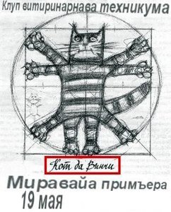 8387799.jpg