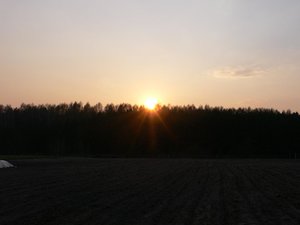 P1000329.JPG