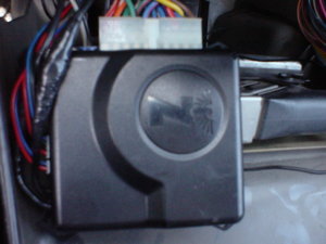 DSC00591.JPG